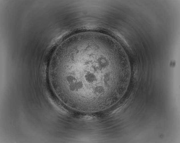 X0000090910542200707301436