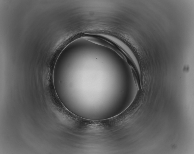 X0000090910544200707301436