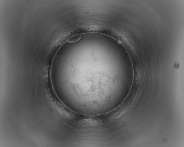 X0000090910545200707301436