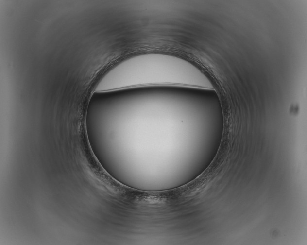 X0000090910546200707301436