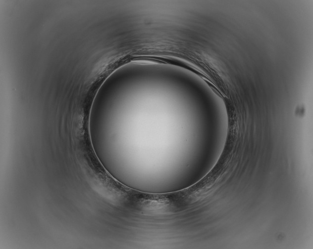 X0000090910548200707301436