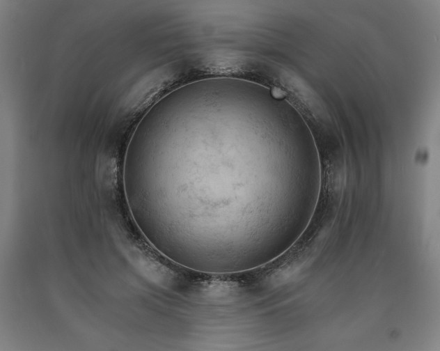 X0000090910549200707301436