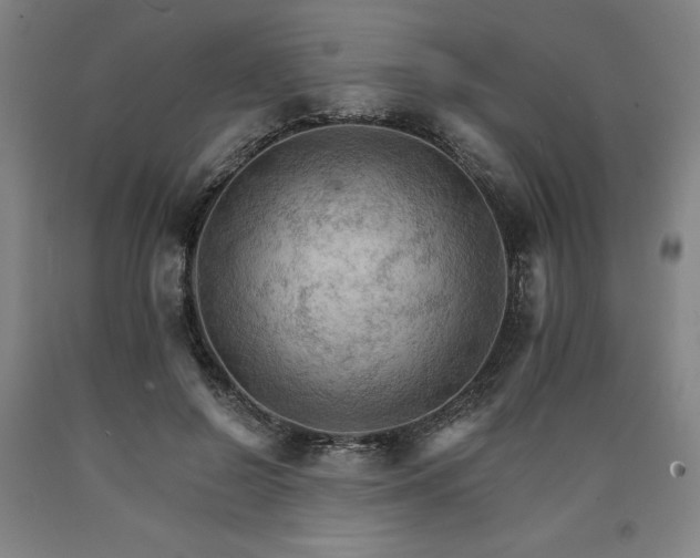 X0000090910550200707301436