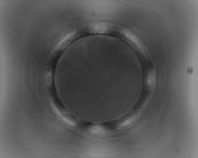 X0000090910551200707301436