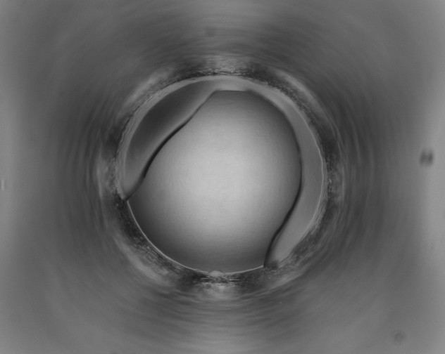 X0000090910552200707301436