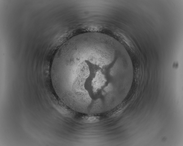 X0000090910553200707301436