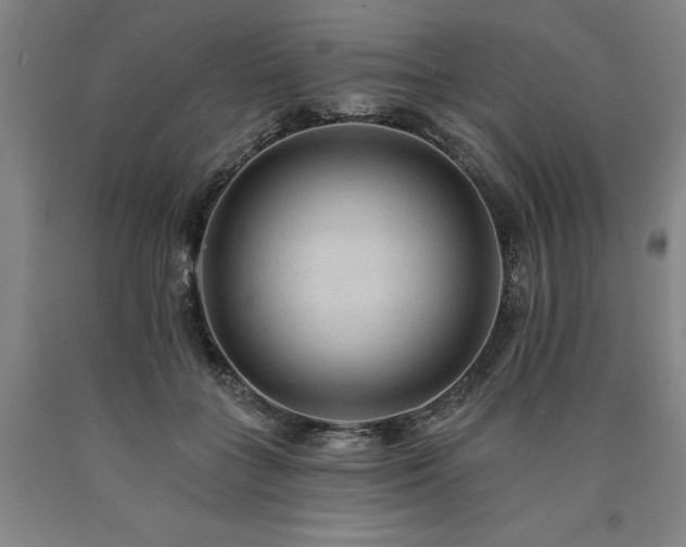 X0000090910555200707301436