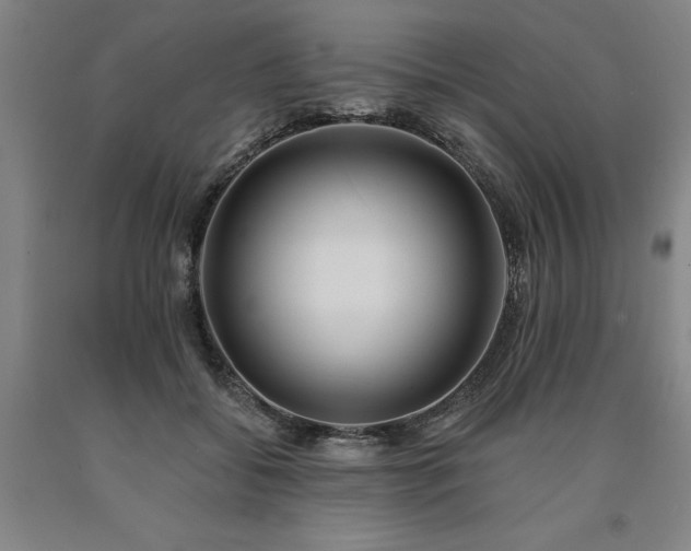 X0000090910556200707301436