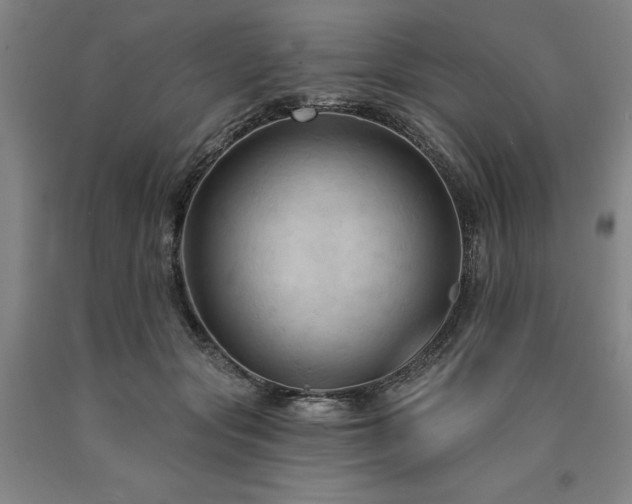 X0000090910557200707301436