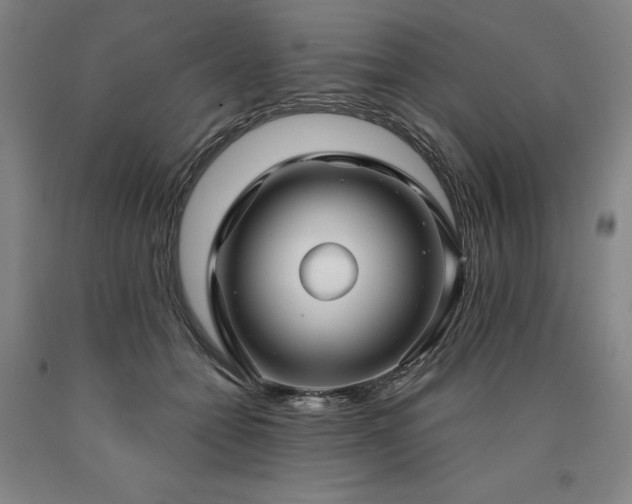 X0000090910558200707301436