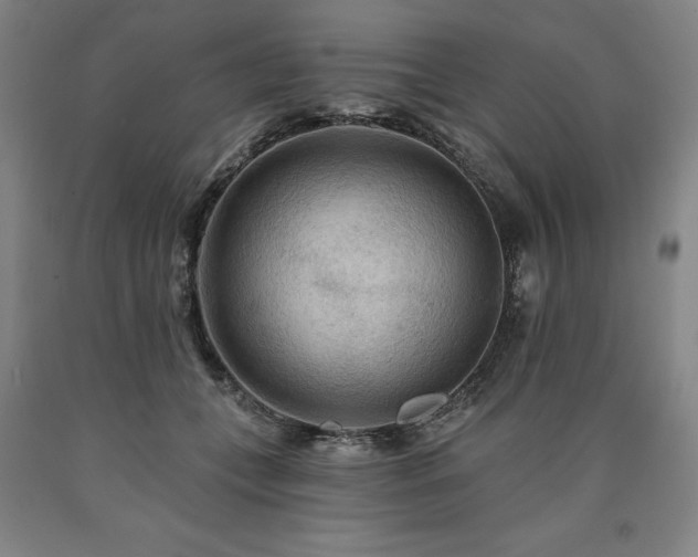 X0000090910559200707301436