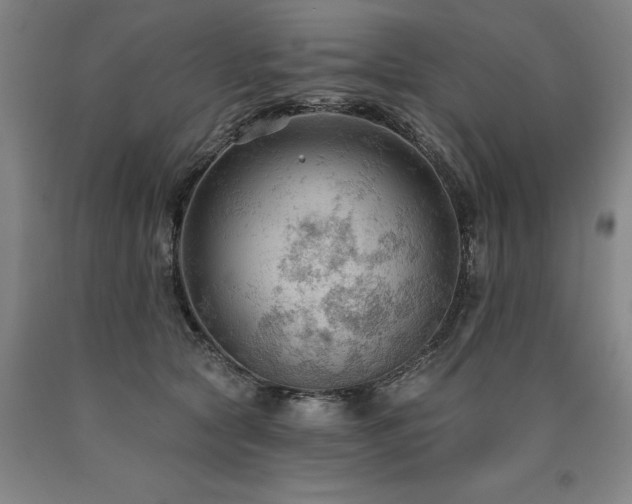 X0000090910561200707301436