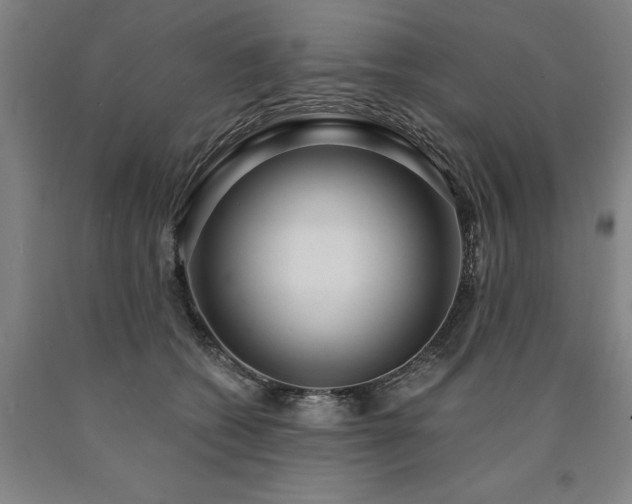 X0000090910562200707301436