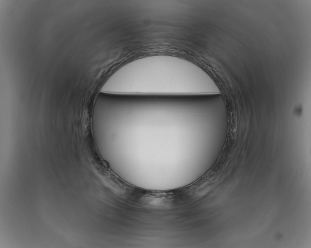 X0000090910563200707301436