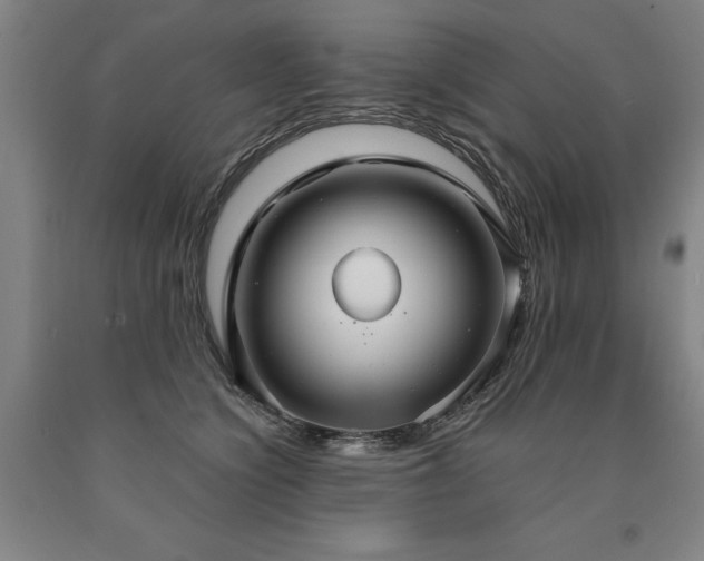 X0000090910564200707301436