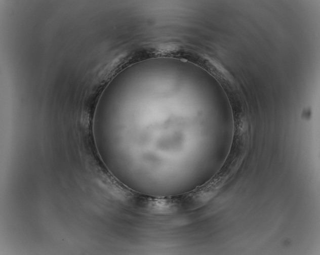 X0000090910565200707301436