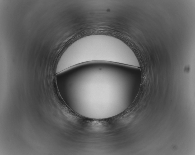 X0000090910566200707301436