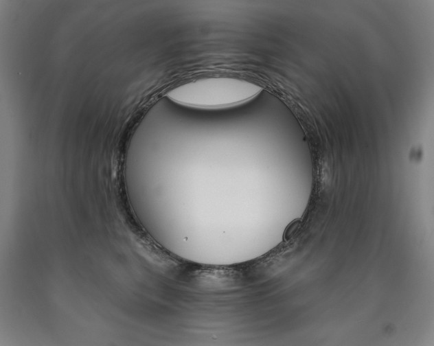 X0000090910567200707301436