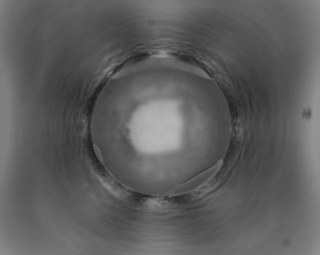 X0000090910568200707301436