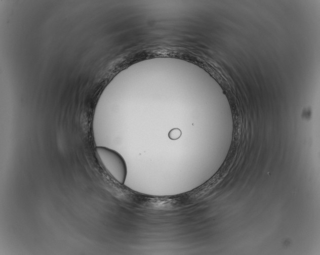 X0000090910569200707301436