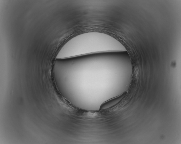 X0000090910570200707301436