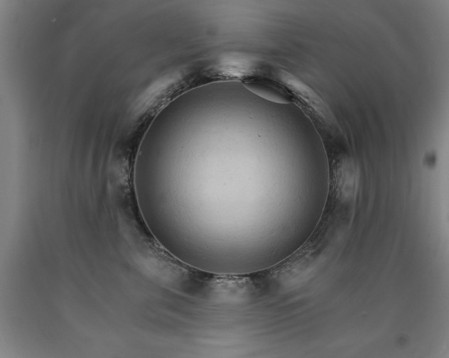 X0000090910571200707301436