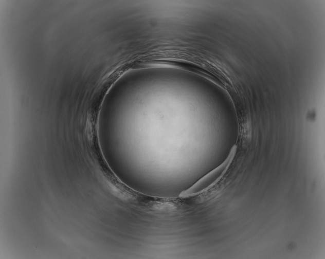 X0000090910572200707301436