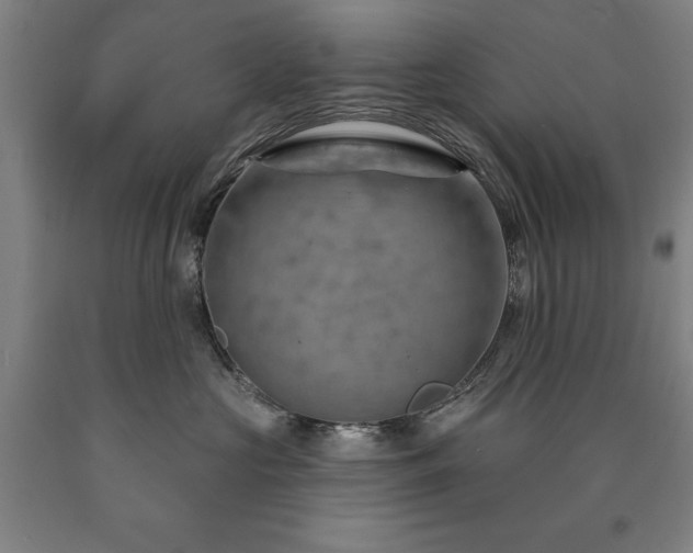 X0000090910573200707301436