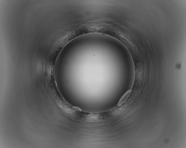 X0000090910574200707301437