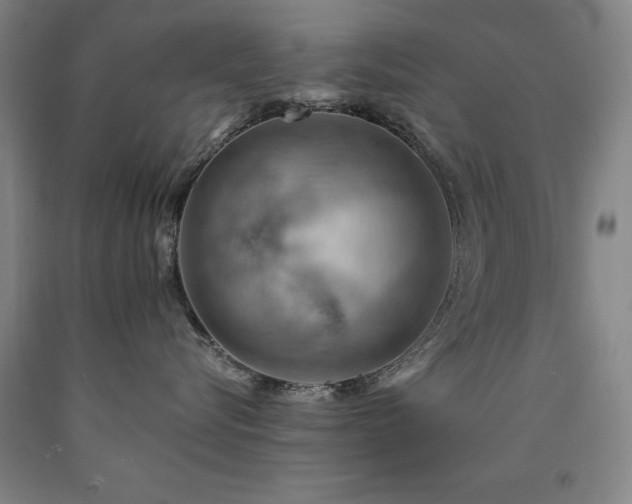 X0000090910576200707301437