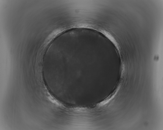 X0000090910577200707301436