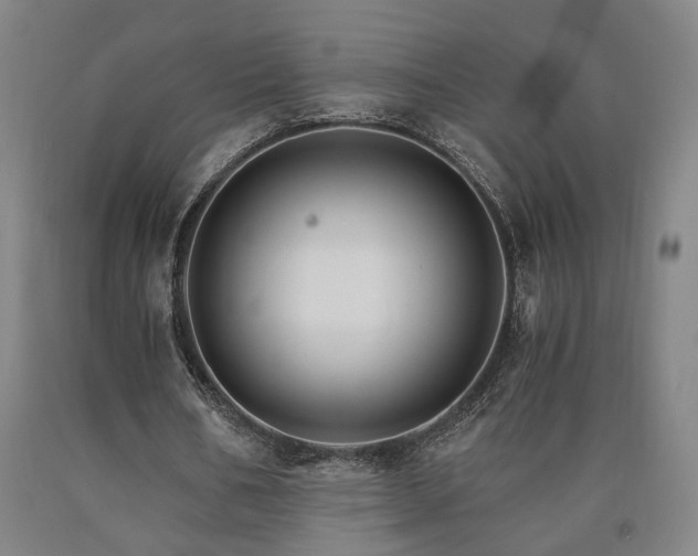 X0000090910578200707301436