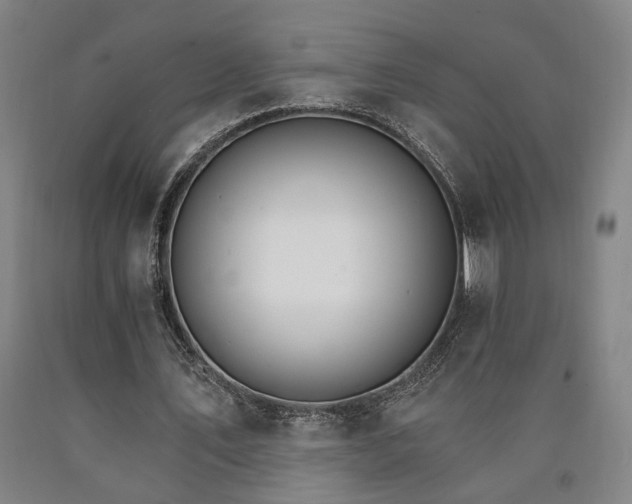 X0000090910579200707301436