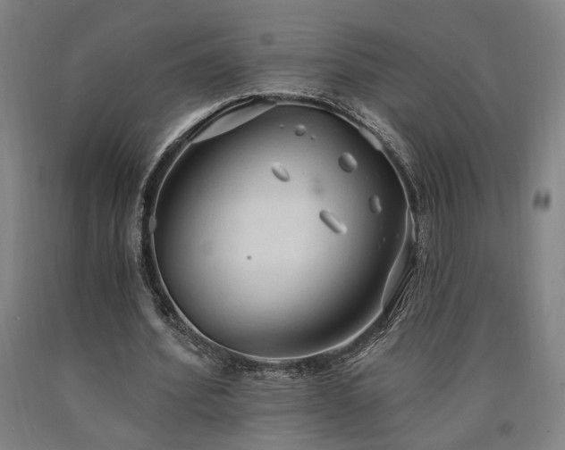 X0000090910580200707301436