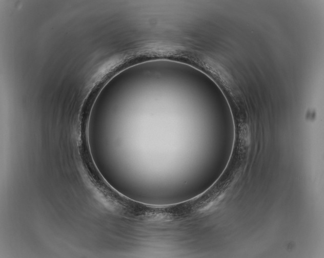 X0000090910582200707301436