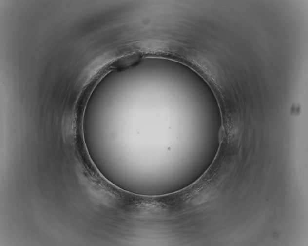 X0000090910583200707301436