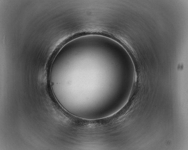 X0000090910584200707301436