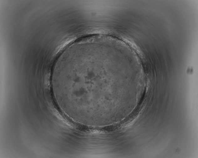 X0000090910585200707301436