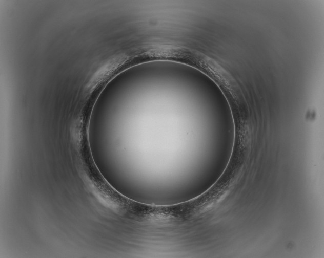 X0000090910586200707301436