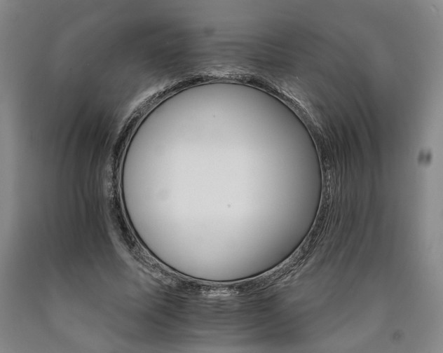 X0000090910587200707301436