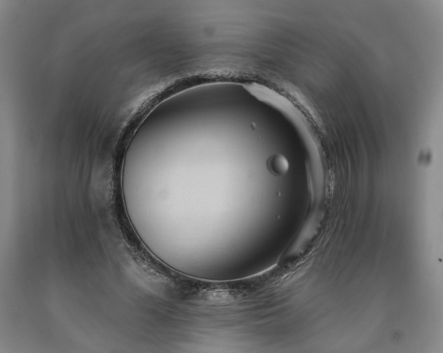 X0000090910588200707301436