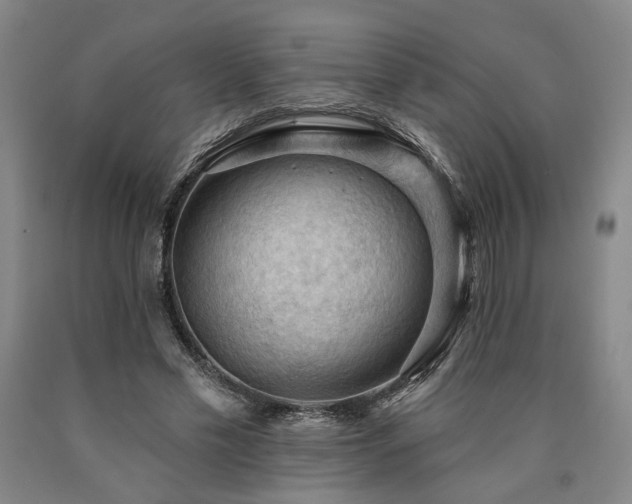 X0000090910589200707301436