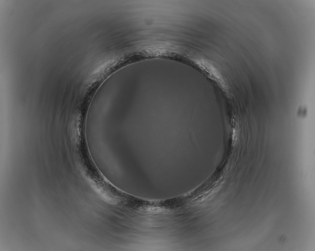 X0000090910590200707301436