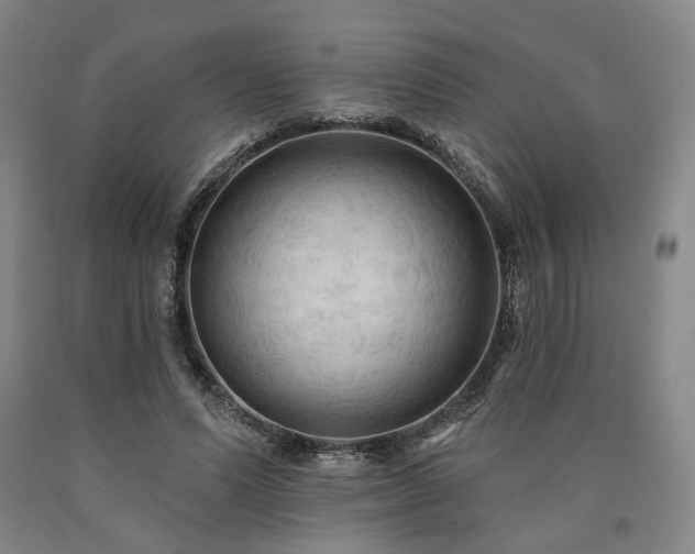 X0000090910591200707301436