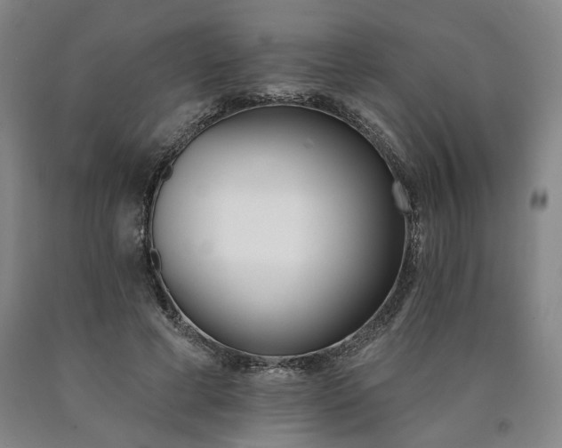 X0000090910593200707301436