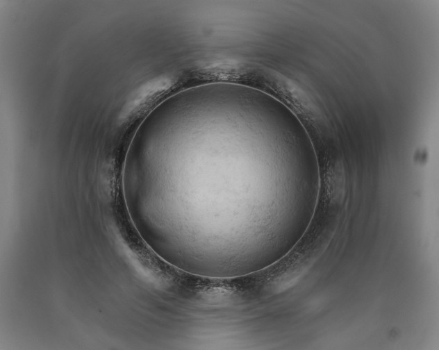 X0000090910594200707301436