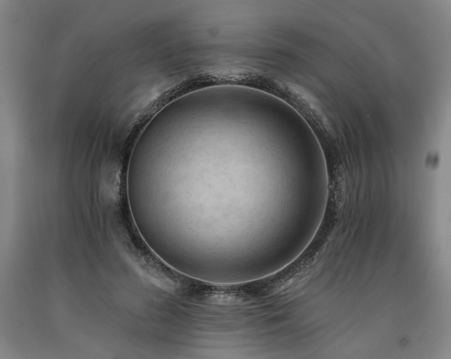 X0000090910596200707301436