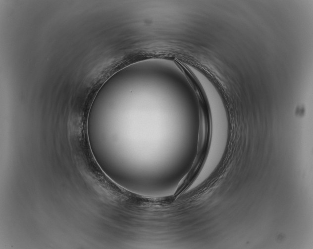 X0000090910597200707301436