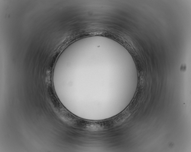 X0000090910598200707301436