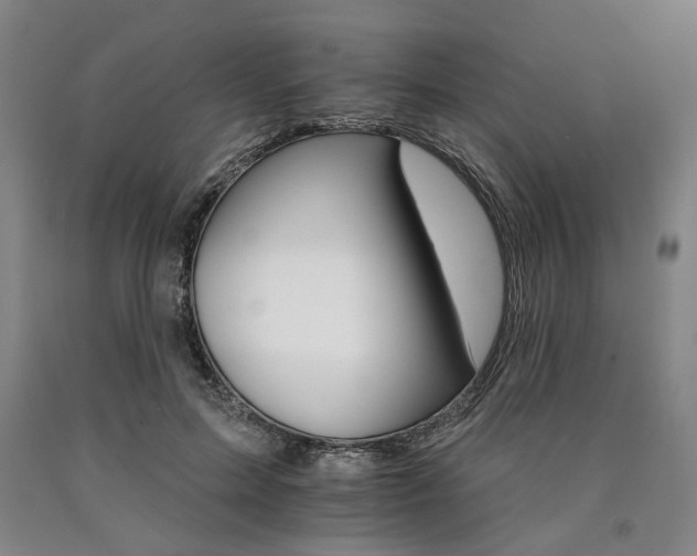 X0000090910599200707301435